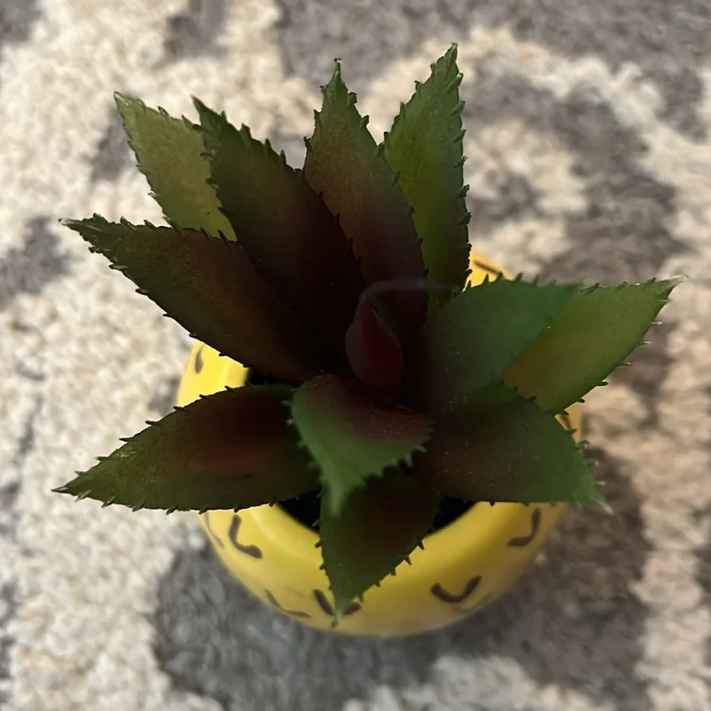 Target faux succulents, pineapple and strawberry, NWT!